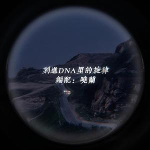 不再犹豫(晓兰Remix)