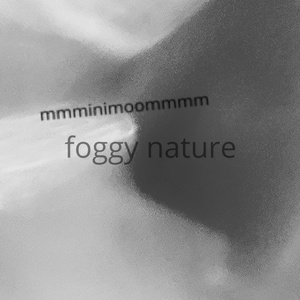 foggy nature