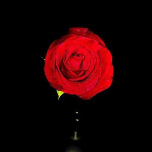 4.10.22.22_Prod.by EVO MUSIC