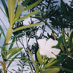 5月21日 （Demo）