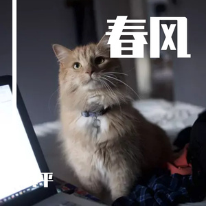 在你的身边