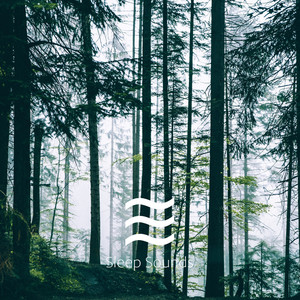 Shushing Rain Sounds