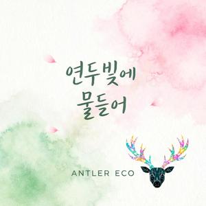 연두빛에 물들어