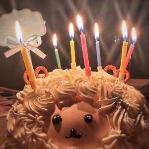 はなび（煙火）