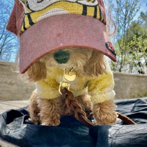 Je voudrais dessiner (나는 그리고 싶어)