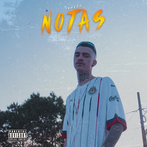 Notas