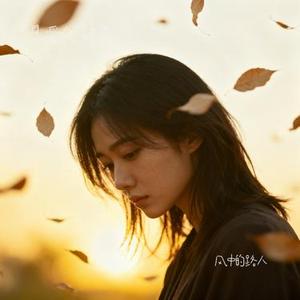 风中的路人 (爱吃油麦菜 Remix)