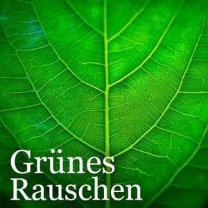 Grünes Rauschen zum Einschlafen