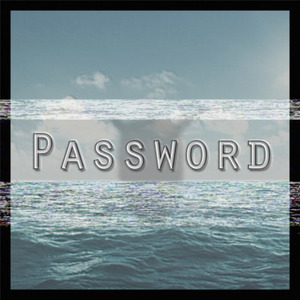 Password