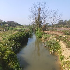 活成自己的光（ai国语版）