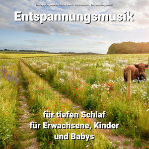 Klangvolle Musik zum Lernen