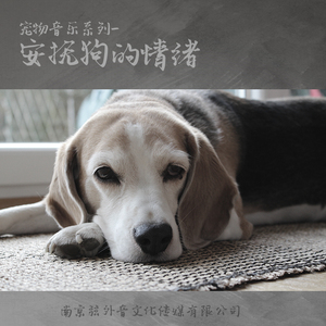 宠物音乐狗系列一寂寞（缓解独自在家寂寞）