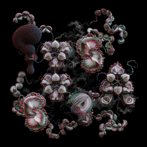 Fagurt er í fjörðum