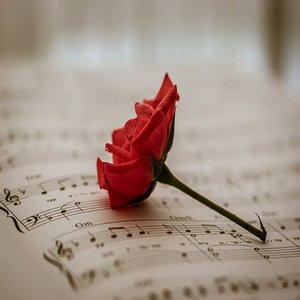 Alone with My Memories