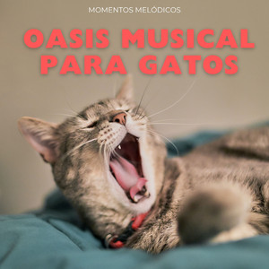 Susurros De Oasis Musical Para Gatos