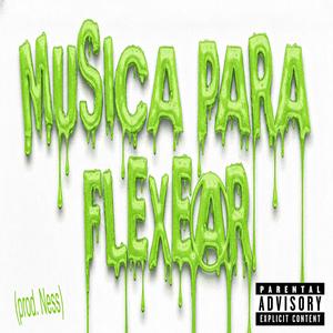 D E S A N G R A N D O M E