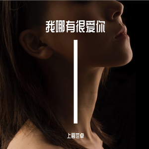 我哪有很爱你