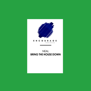 Bring The House Down (Original Mix)