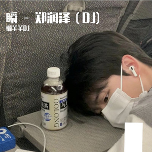 郑润泽-郑润泽-瞬 - 郑润泽（懒羊羊DJ remix）