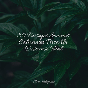 Sesiones Caseras