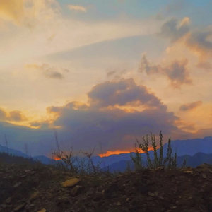 最好的朋友结婚是什么感觉