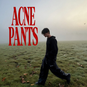 acne pants