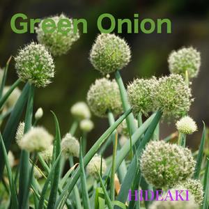 Green Onion