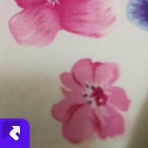 肖邦：葬礼进行曲(2025独奏版） (现场)