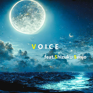 VOICE (2024remix)