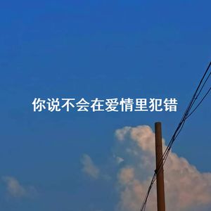 你说不会在爱情里犯错