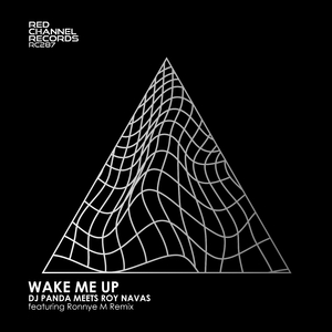 Wake Me Up (Ronnye M Remix)