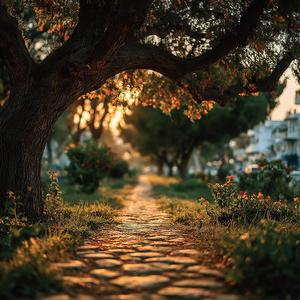 Between Light and Air