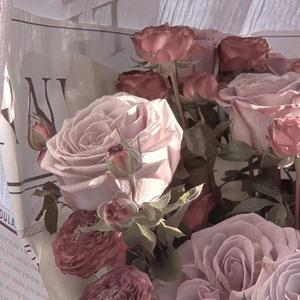 最好的我（我明白要你爱是荒谬的要求）