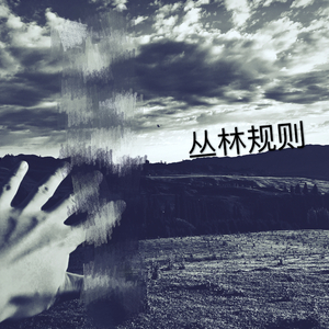 丛林规则demo