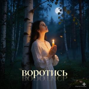 ВОРОТИСЬ