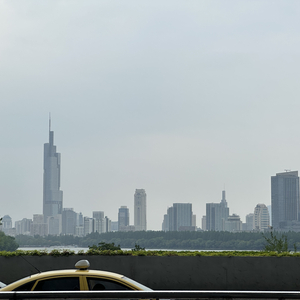 那日你别南京，再未见你