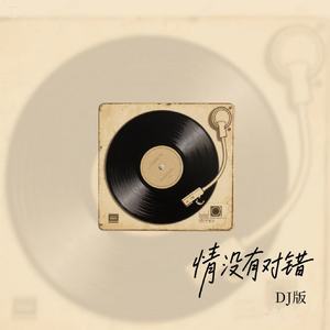 情没有对错(DJ版)