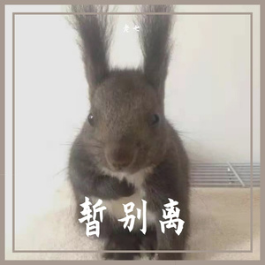 《幻想着》伴奏