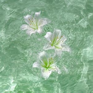 一个人-Say Yes（一个人 remix）