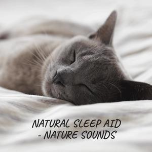 Sweet Dreams (Sleep Music)