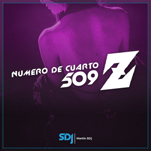 Numero De Cuarto 509 Z