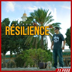 Résilience
