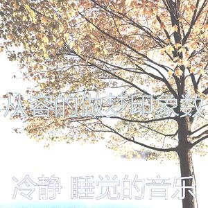 一尘不染回忆印象数