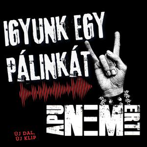 Igyunk egy pálinkát