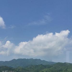 单身狗之歌（cover谭杰希）