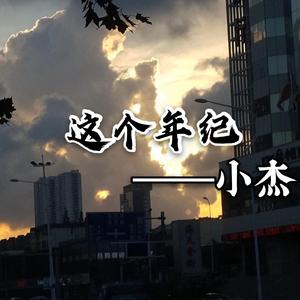 这个年纪（烟酒嗓）