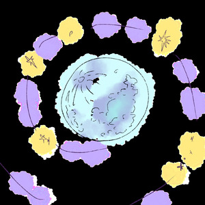 星泣きのロンド