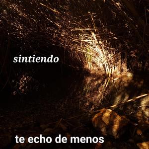 Te echo de menos