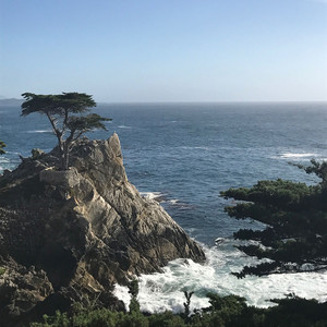 Morning Waves Monterey County