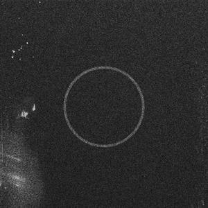 Lilies (Live Session Take)